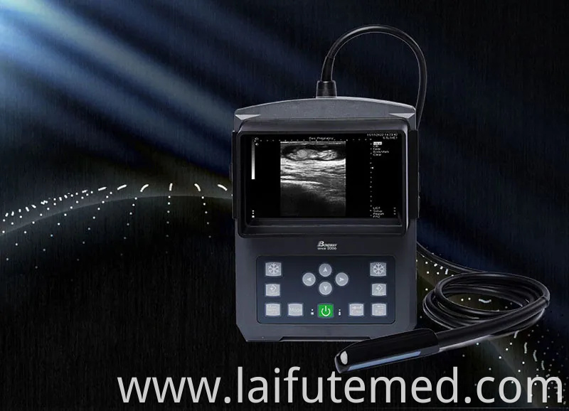 Animal Ultrasound Scanning Machine Bw590V Digital Veterinary Diagnostic Ultrasonic Imaging System, Ideal for Veterinary Service Center, Research Institute